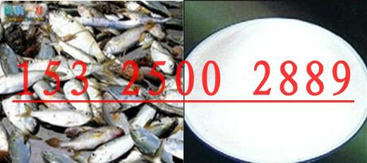 供應(yīng)魚餌誘食添加劑DMT魚蝦搶著吃CC-DMT01