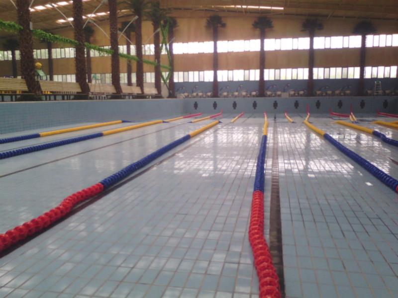 供應游泳池水線泳道線
