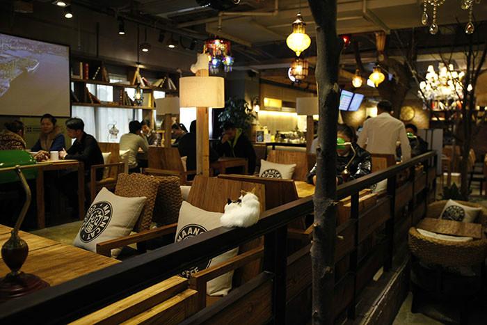 供應(yīng)上海漫貓咖啡桌椅生產(chǎn)廠家