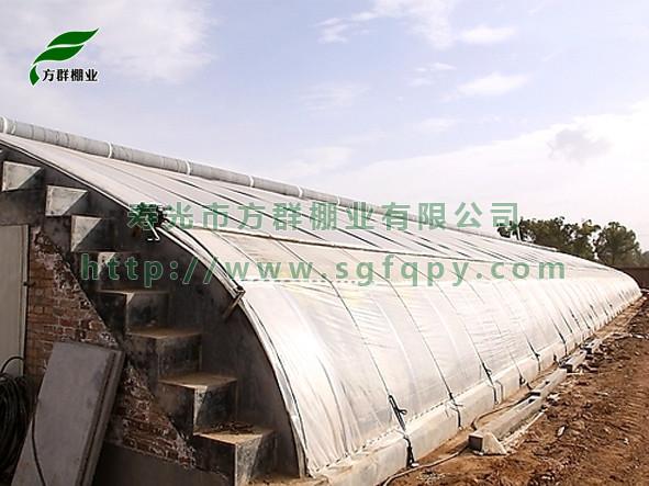 供應(yīng)大棚溫室建設(shè)