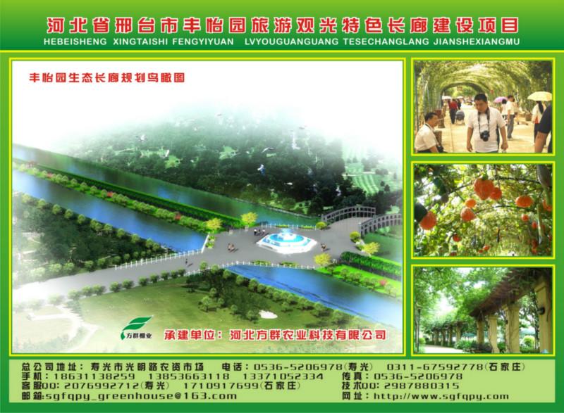 供應(yīng)溫室建設(shè)方群更專業(yè)