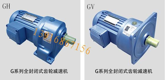 G全封闭齿轮减速电机图片