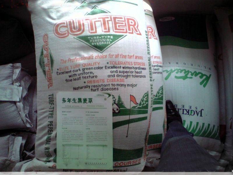 石家莊廠家經銷黑麥草種芽率高成坪快*惠/黑麥草種廠家批發(fā)