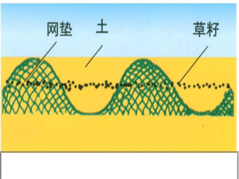 合肥市三维植被网供应合肥市三维植被网，厂家产品