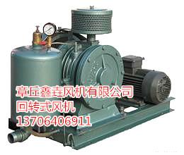 301s回轉(zhuǎn)式鼓風(fēng)機(jī)章丘羅茨風(fēng)機(jī)廠家