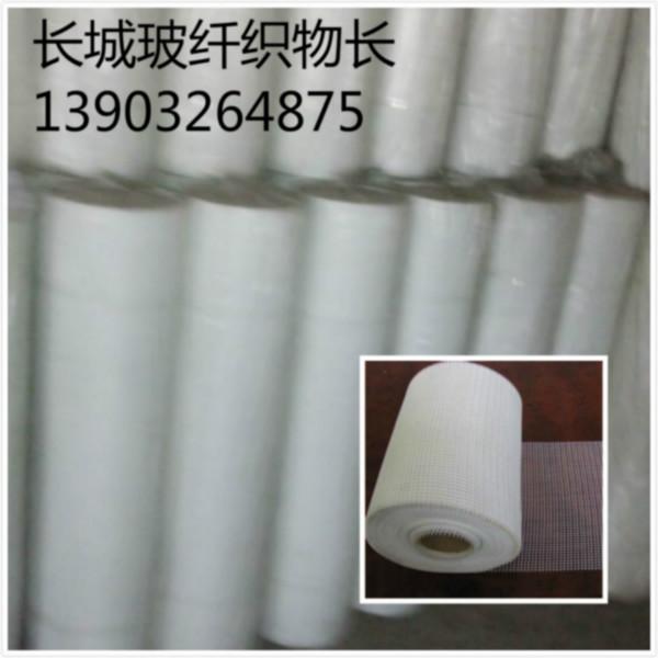 加強層網(wǎng)格布圖片