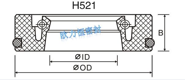 旋轉(zhuǎn)四氟油封軸用H521圖片