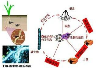 供应长沙无损检测