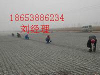 沈陽經(jīng)編滌綸土工格柵銷售商，沈陽經(jīng)編滌綸土工格柵價格
