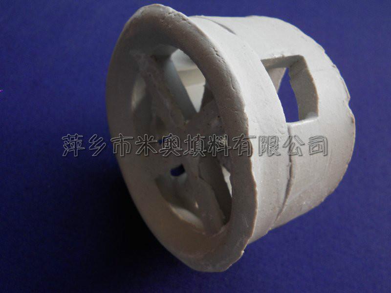 陶瓷階梯環(huán)圖片