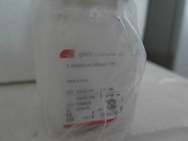 供應(yīng)250301gibcoL-谷氨酰胺