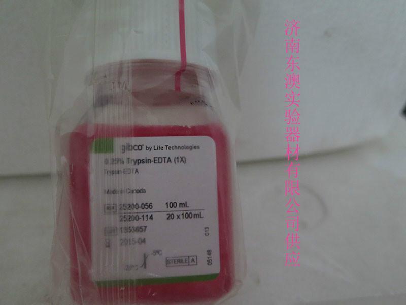 雙抗gibco25200114東澳圖片