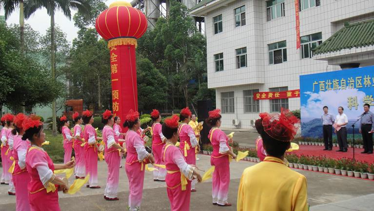 供应南宁鲜花拱门租赁《2014最实惠出租》图片