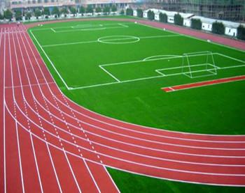 塑膠跑道圖片/塑膠跑道樣板圖 (4)