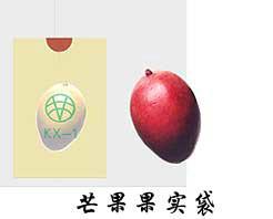 芒果袋圖片/芒果袋樣板圖 (2)