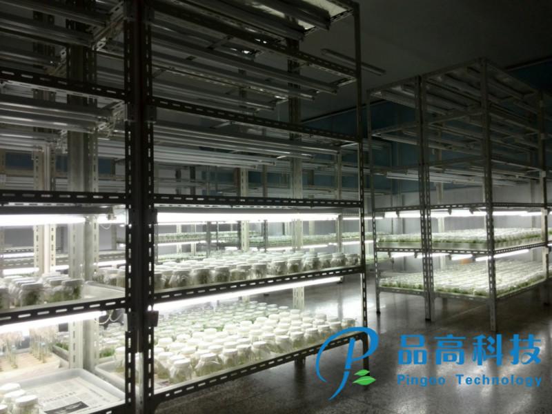 供應(yīng)甘肅省蘭州市人工氣候室，甘肅省蘭州市人工氣候室廠家供應(yīng)