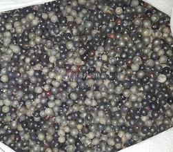 北欒種子圖片/北欒種子樣板圖 (2)