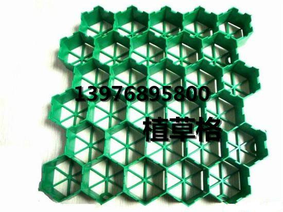 供應(yīng)保亭優(yōu)質(zhì)植草格?？诒镜禺a(chǎn)，保亭植草格?？谂l(fā)廠家