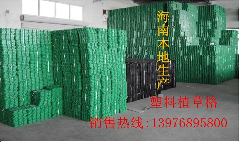 保亭優(yōu)質(zhì)植草格?？诒镜禺a(chǎn)圖片