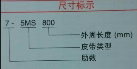 供應(yīng)蘇州聚氨酯并聯(lián)廣角帶