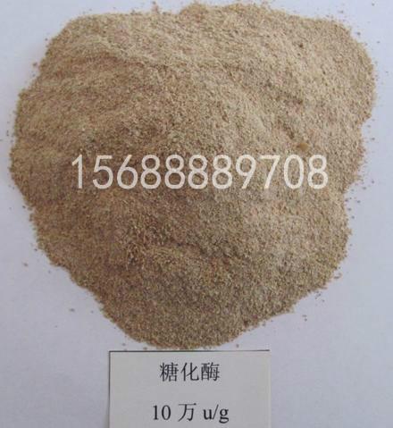 供應(yīng)糖化酶