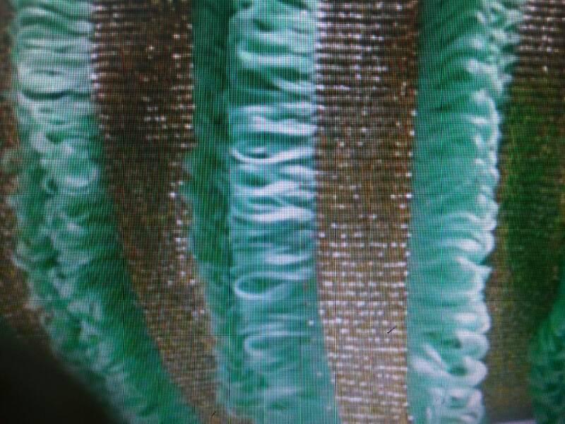 供應(yīng)流蘇帶供應(yīng)商，流蘇帶供應(yīng)商電話，流蘇帶供應(yīng)廠家