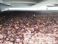 上海填料松樹皮廠家 供應商 公司 價格