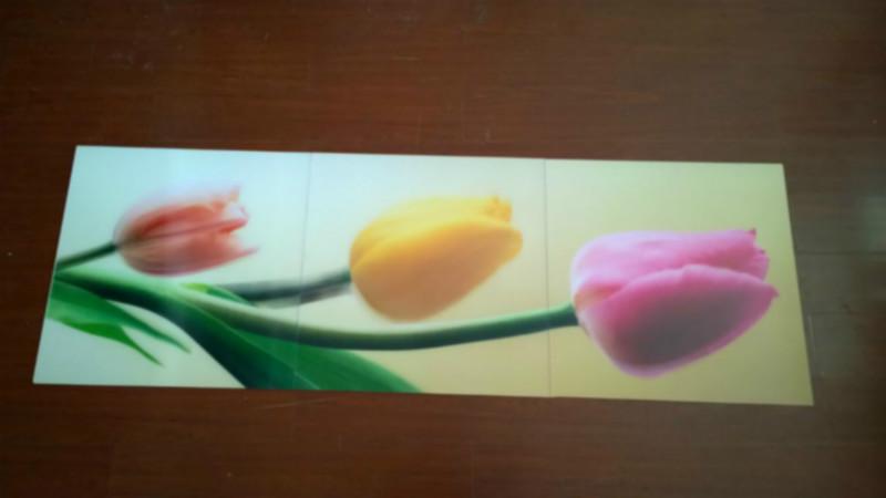 供應(yīng)立體寫(xiě)真立體畫(huà)批發(fā)