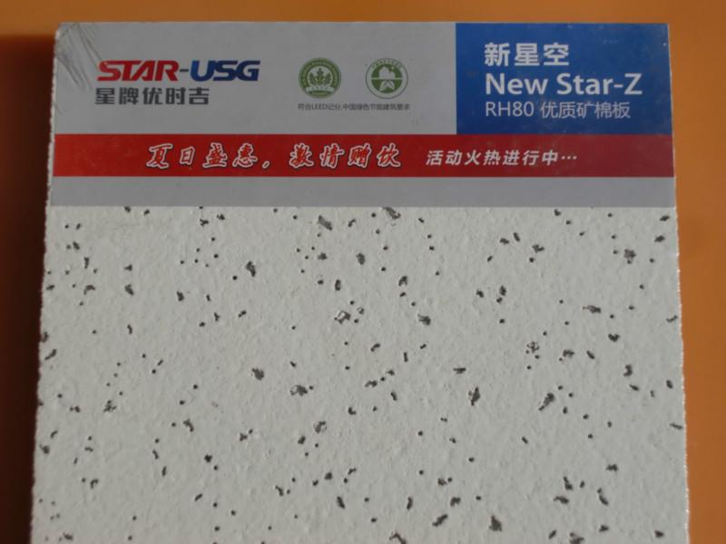 滿天星礦棉板圖片/滿天星礦棉板樣板圖 (2)