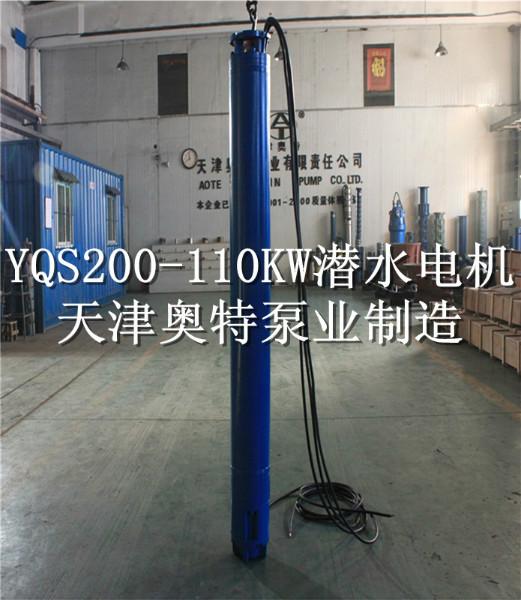 潛水電機圖片/潛水電機樣板圖 (2)