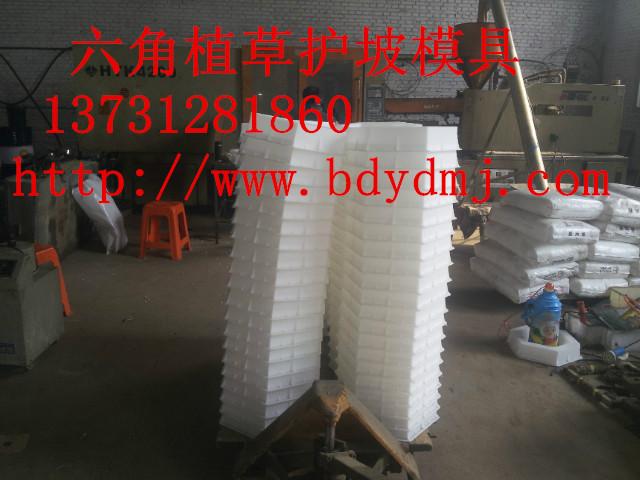 供應(yīng)六角護(hù)坡模具批發(fā)價(jià)格-保定悅達(dá)