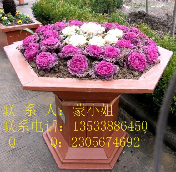 步行街圖片/步行街樣板圖 (3)