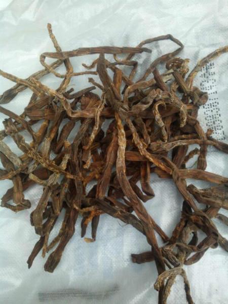 供應四川竹筍干