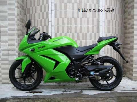 供应公路赛摩托车川崎ZX250R小忍者摩托车图片