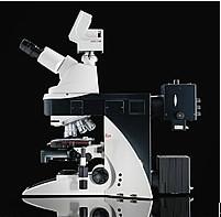 徕卡DM5000B生物显微镜图片
