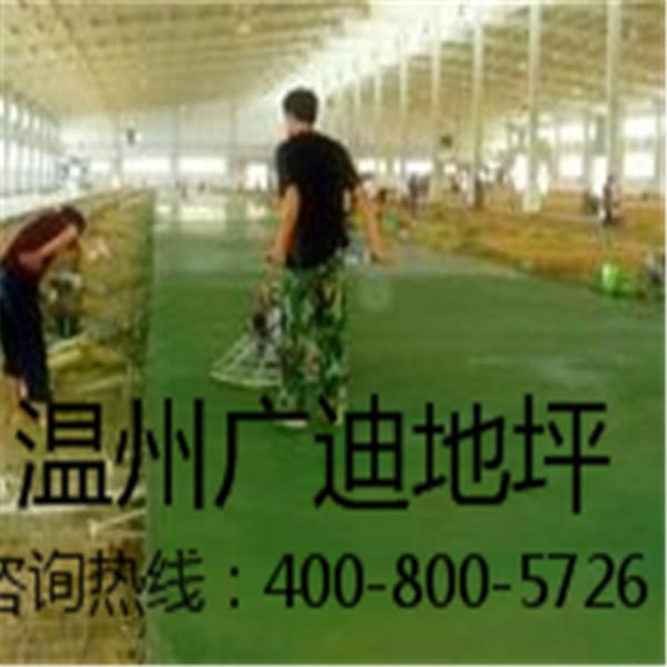 供應(yīng)用于質(zhì)優(yōu)價(jià)廉環(huán)保的溫州廣迪供應(yīng)環(huán)氧水性地坪