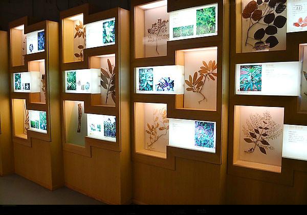 供應(yīng)寶安企業(yè)展廳設(shè)計裝修產(chǎn)品展廳裝修 福永展館裝修設(shè)計