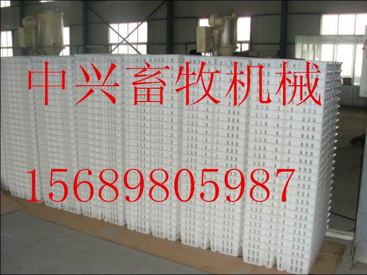 供應(yīng)塑料制品小雞周轉(zhuǎn)筐透氣耐摔易清洗消毒塑料雞苗箱