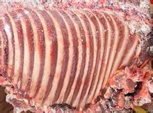 供應(yīng)冷凍驢肉批發(fā)-進(jìn)口驢肉供應(yīng) 驢肉 冷凍驢肉 冷凍驢肉批發(fā)廠家 驢肉批發(fā) 驢肉價(jià)格 昆明齊悅冷凍食品糧油股份有限公司