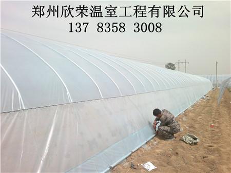 簡易拱棚建造廠家大棚建造廠家圖片/簡易拱棚建造廠家大棚建造廠家樣板圖 (2)