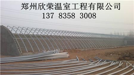 供應(yīng)幾字鋼溫室建造公司 鄭州欣榮溫室?guī)鬃咒摴羌芗庸せ?  title=