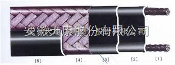 中長及組合型電伴熱帶圖片