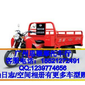 福田五星FT175ZH-3B三輪摩托車圖片