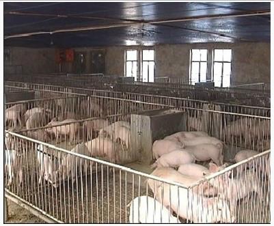 供應(yīng)養(yǎng)殖碳纖維電地暖12K碳纖維地暖