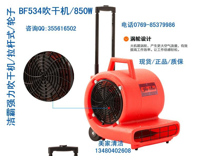 供應(yīng)BF534潔霸強(qiáng)力吹干機(jī)