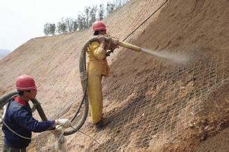 供應(yīng)噴播木纖維