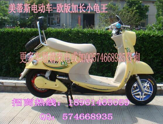 加長版小龜王圖片
