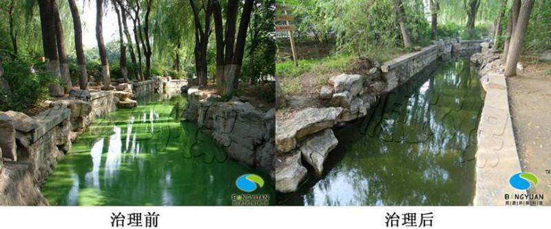 供應(yīng)聚焦藍(lán)藻治理