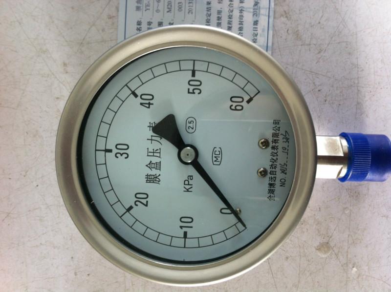 供應膜盒壓力表生產(chǎn)