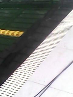 供應(yīng)塑料箅子排水箅子.泳池格柵.泳池篦子.泳道線